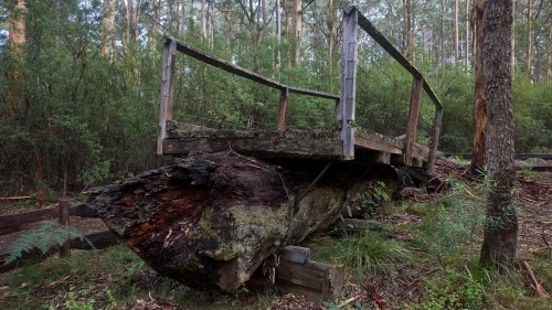 One Tree Bridge